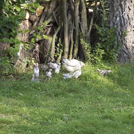 Holiday Home Ossa Basecamp Sint Odilienberg Номер фото